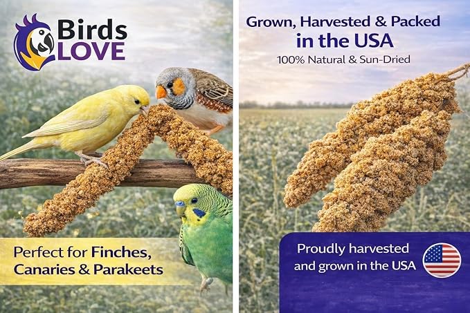 Birds LOVE Millet Tips & Tails for Birds - Image 3