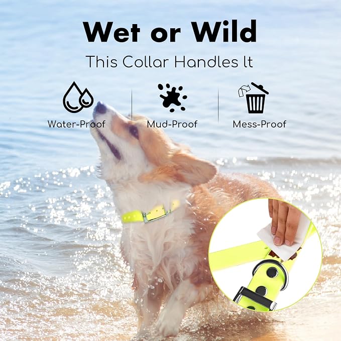 4.2FT Dog Collar and Leash Set, PVC Waterproof Adjustable Odor Proof Pet - Image 5