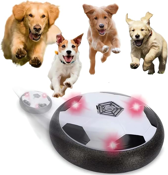 Ivieicip Active Gliding Disc by Ivieicip