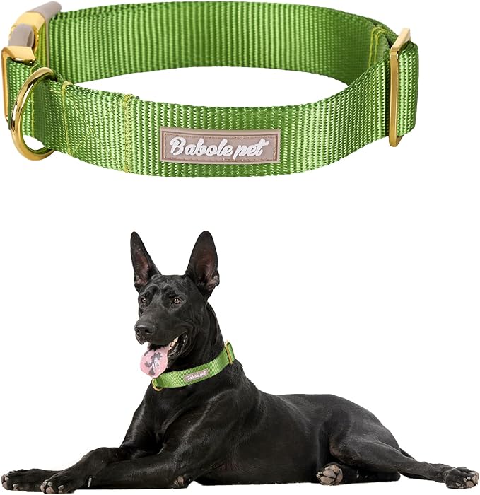 Nylon Dog Collar - Image 2