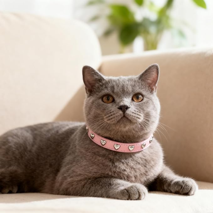 EXPAWLORER Leather Cat Collar for Girl Boy Valentine's Day - Image 6