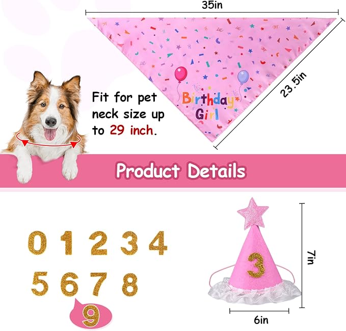 Dog Boy Girl Birthday Party Hat, Dog Birthday Party Supplies, Doggie Birthday - Image 3