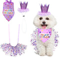 Dog Birthday Bandana with Hat and Dress Girl Set, Dog Birthday Hat Bandana Girl by Unknown