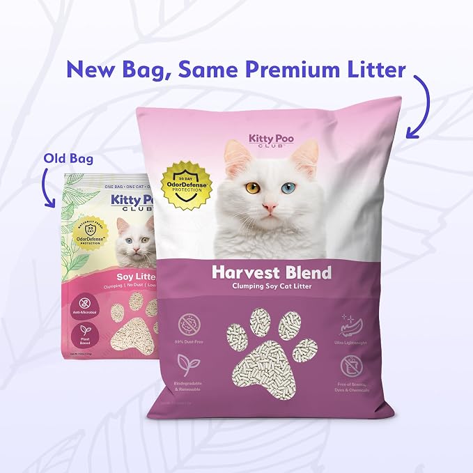Kitty Poo Club Leakproof Disposable 2-Pack Cat Litter Box - Image 3