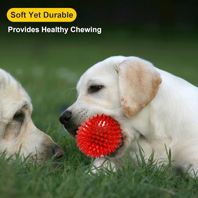 VITEVER 3.5” Squeaky Dog Toy Balls Puppy Chew Toys - Image 5