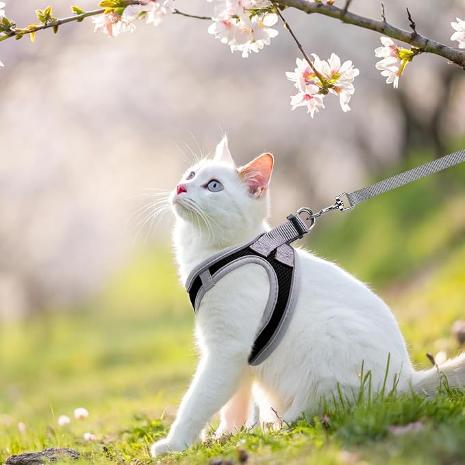 SCENEREAL Cat Harness and Leash Set - Image 6