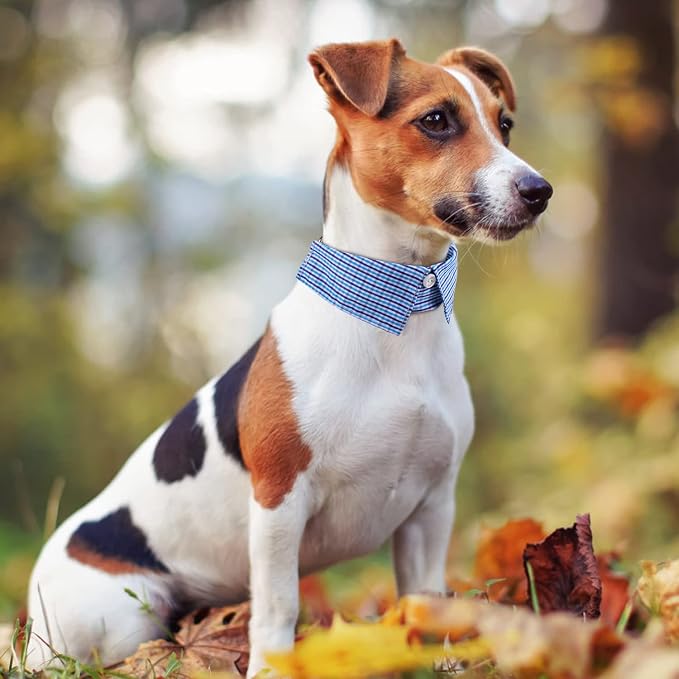 Faleela Cotton Plaid Shirt Style Dog Collar Soft Cute, Boy Dog Collar - Image 4