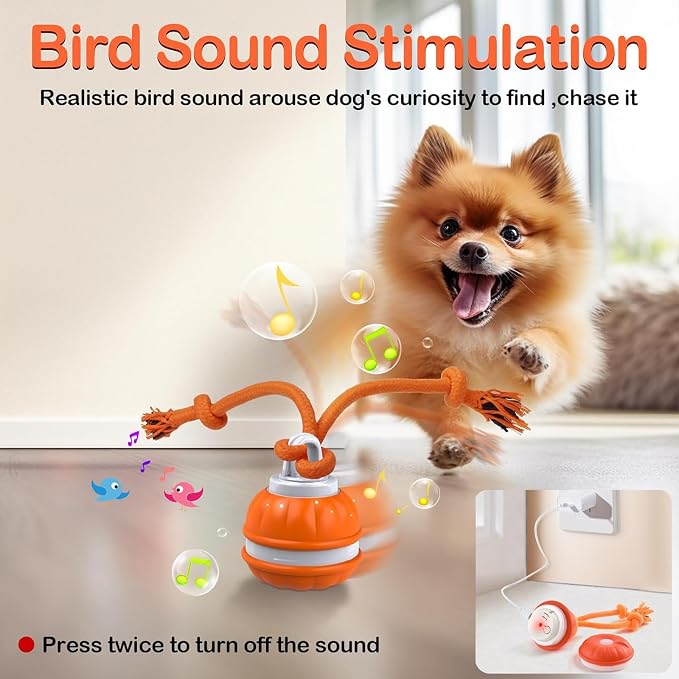 Interactive Dog Toys，Peppy Pet Ball - Image 6