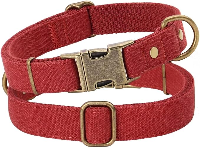 PET ARTIST Dog Collars for Small Dogs, Soft Padded Premium Nylon Dog Collar - Image 7