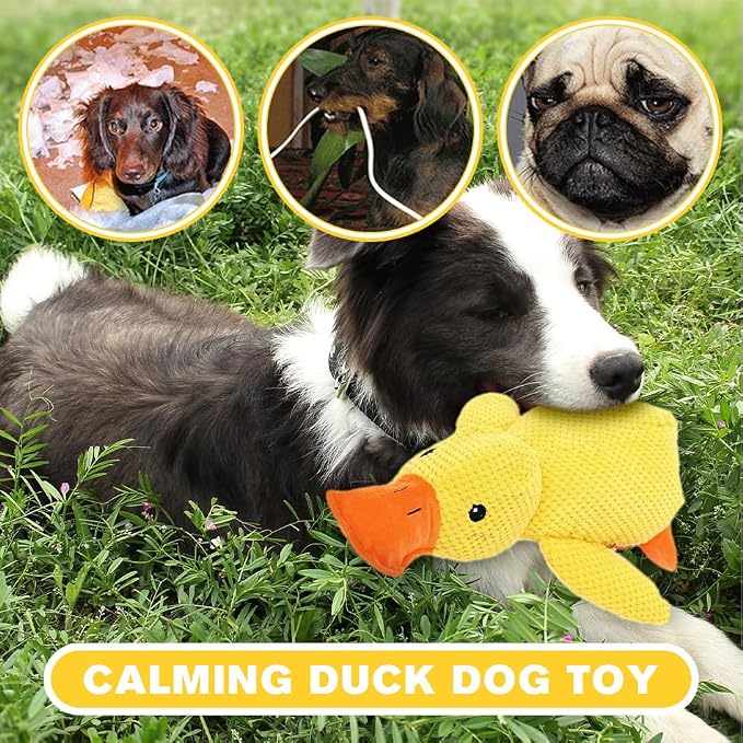 Dog Toys for Aggressive Chewers, 2025 Upgraded Dog Chew Toys for Small Large - Image 6