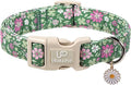 St. Patrick's Day Dog Collar, UP URARA PUP Shamrock Adjustable Pet Collar by UPURARAPUP