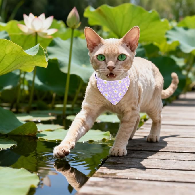 EXPAWLORER Cute Cat Collar Breakaway - Image 6