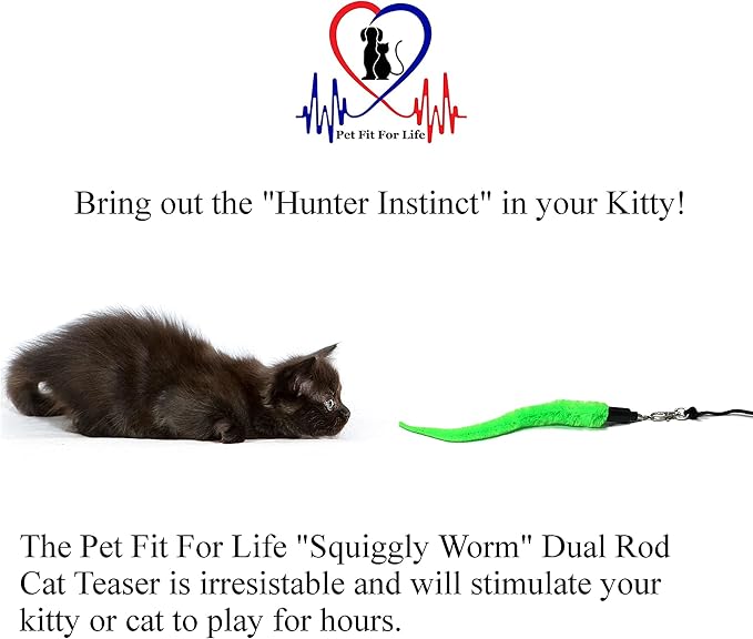 Pet Fit For Life Cat Wand Toy: 5-Piece Worm Teaser & Exerciser - Image 2