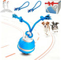 Interactive Dog Ball Toy, Interactive Dog Toys by Unknown
