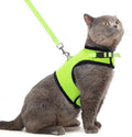 PUPTECK Soft Mesh Cat Vest Harness and Leash Set Puppy Padded Pet Harnesses by PUPTECK