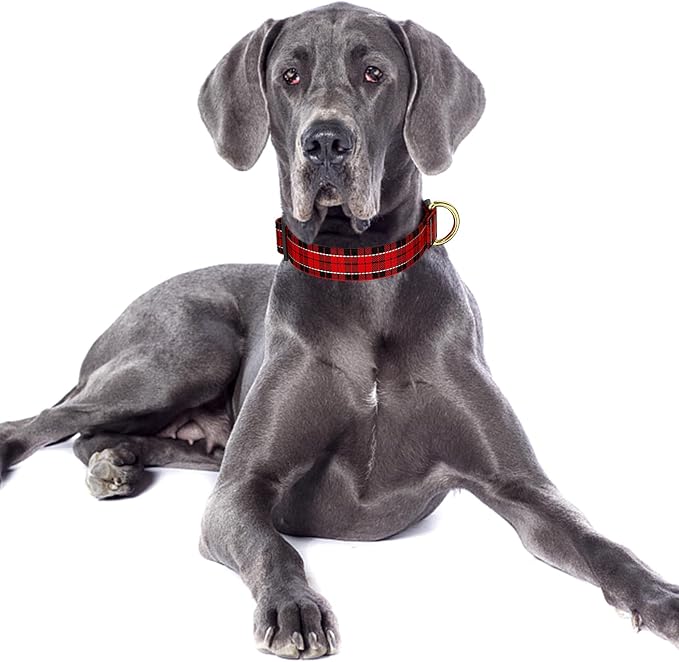 Reflective Dog Collar for Large Dogs, Cute Boho Adjustable Heavy-Duty Nylon - Image 2