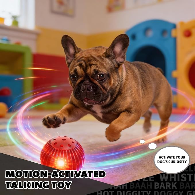 Pet Qwerks Blinky Babble Ball - Image 2