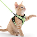 rabbitgoo Cat Harness and Leash by rabbitgoo