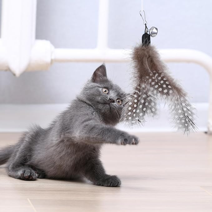 12Pcs Cat Feather Toys Refills, Feather Cat Wand Toys Attachment - Image 5