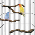 kathson 3pcs Natural Parrot Perch by kathson