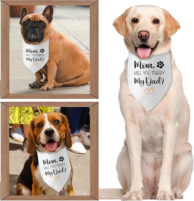 Engagement Gifts Mom, Will You Merry My Dad? Dog Bandana Pet Scarf Wedding - Image 4