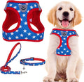 PUPTECK Adjustable Dog Harness Collar and Leash Set Step in No Pull Pet Harness by PUPTECK