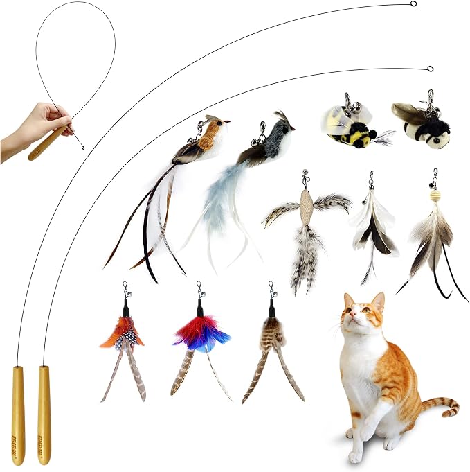 TTcat Interactive Bird & Insect Simulation Cat Toy Set 10 Pcs Feather Refills & by TTCAT