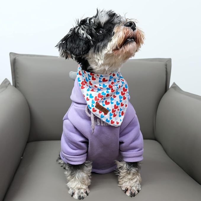 lionet paws Valentines Dog Bandana - Image 3
