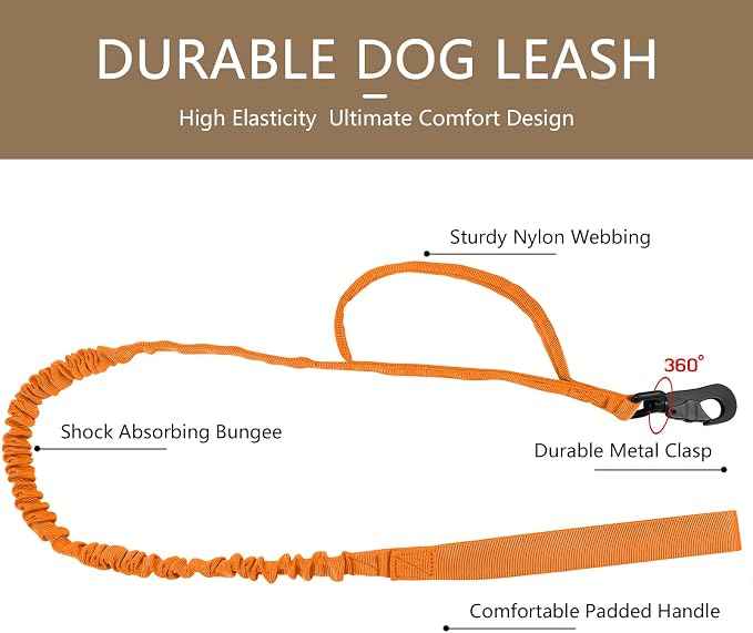 DAGANXI Tactical Dog Collar, Adjustable Military Training Nylon Dog Collar