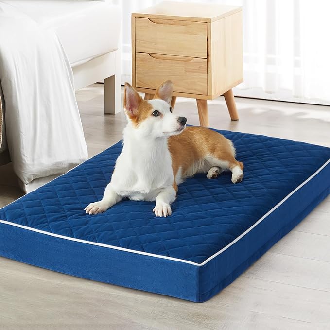 WNPETHOME Orthopedic Big Dog Beds Large Sized Dog, Waterproof Extra Large Dogs by WNPETHOMEPETSHOME