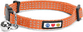 Pawtitas Reflective Orange Cat Collar by Pawtitas
