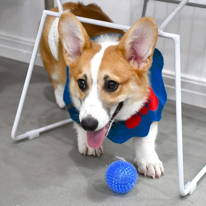 SHARLOVY Squeaky Balls for Pet Small Puppy, 6 Pack TPR Fetch Spike Balls for - Image 7