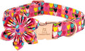 Lionheart glory Easter Dog Collar by LionheartGlory