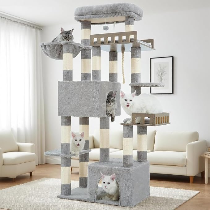 Maine Coon Cat Tree, Heavy Duty Cat Tree by Gitelnour