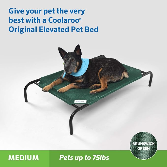Coolaroo The Original Cooling Elevated Pet Bed, Brunswick Green - Image 2