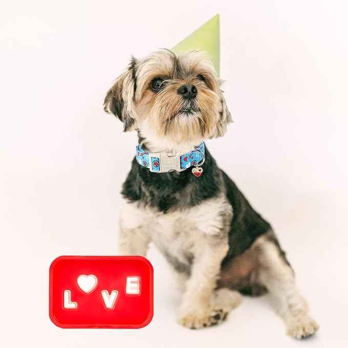 Valentines Dog Collar, Cute Loving Heart Printed Collar