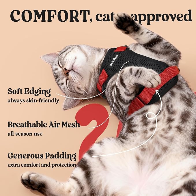 rabbitgoo Cat Harness and Leash - Image 4