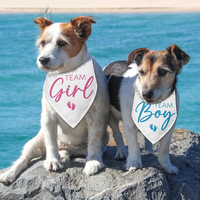 2 Packs Team Girl Team Boy Gender Reveal Baby Announcement Dog Bandana Pet - Image 4