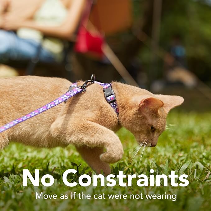 Cat Harness and Leash Set - Image 5