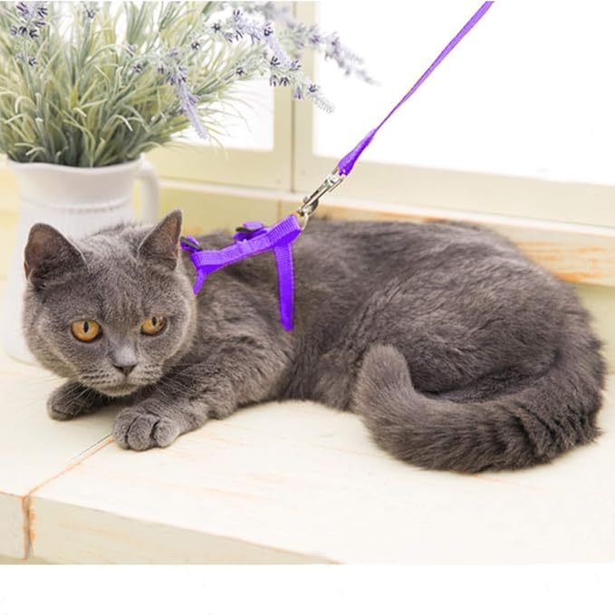 6 Pack Adjustable Cat Leash Harness Leash, Bunny Harness Leash - Image 2