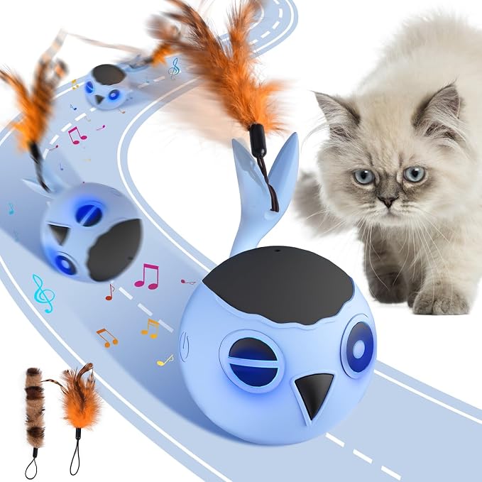 ORSDA Cat Toys, Interactive Cat Toy by ORSDA
