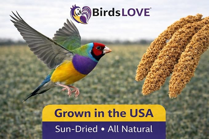 Birds LOVE Millet Tips & Tails for Birds - Image 2