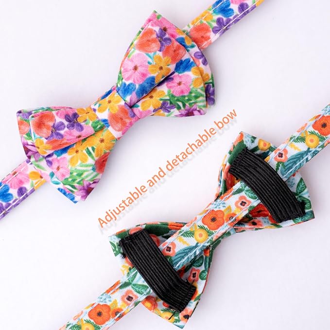 Faygarsle 2 Pack Cat Collar - Image 3
