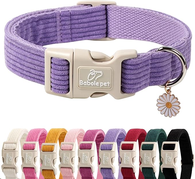 Cute Corduroy Dog Collar by Babolepet