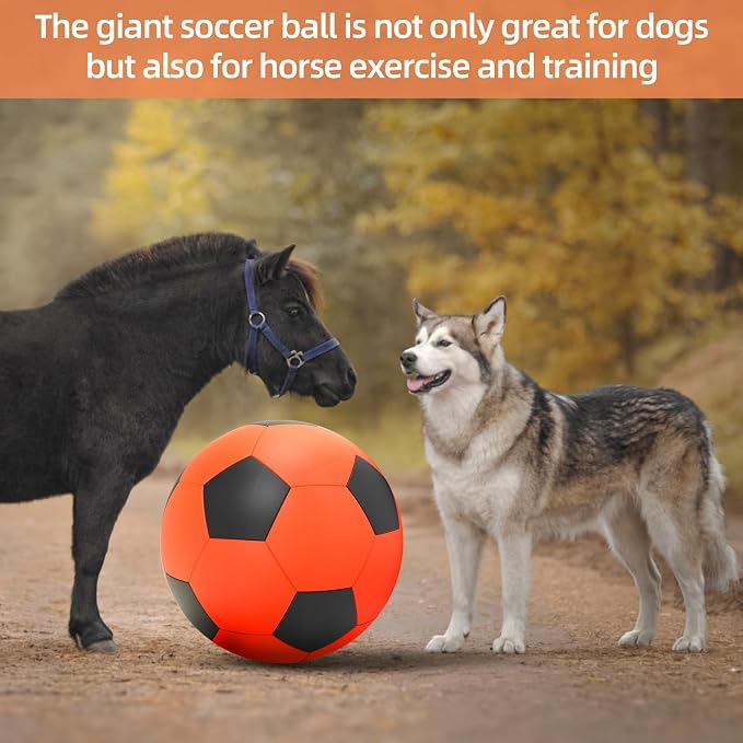 QDAN Herding Ball for Dogs, 25 inch Dog Balls, Giant Dog Toys Horse Toy - Image 8