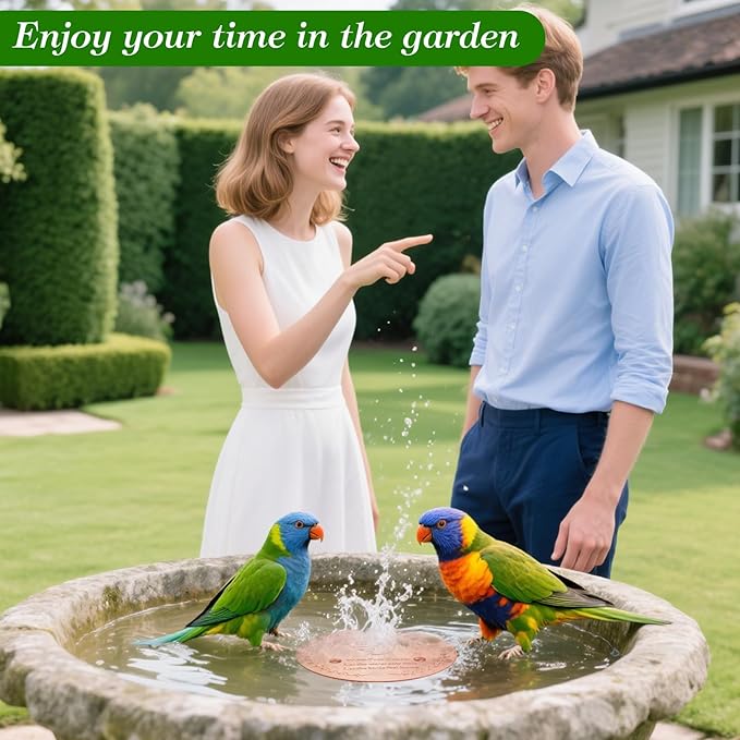 Bird Bath Copper Disk, Sturdy 1mm 99.9% Pure Copper Disk, Triple-Point Support - Image 7