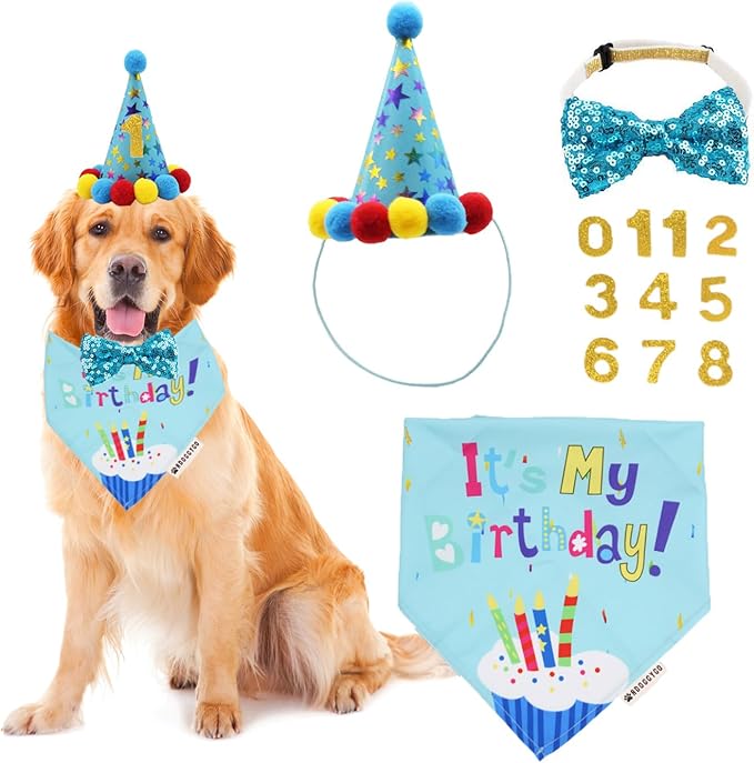 ADOGGYGO Dog Birthday Bandana Scarf and Blue Boy Pet Birthday Party Hat by ADOGGYGO