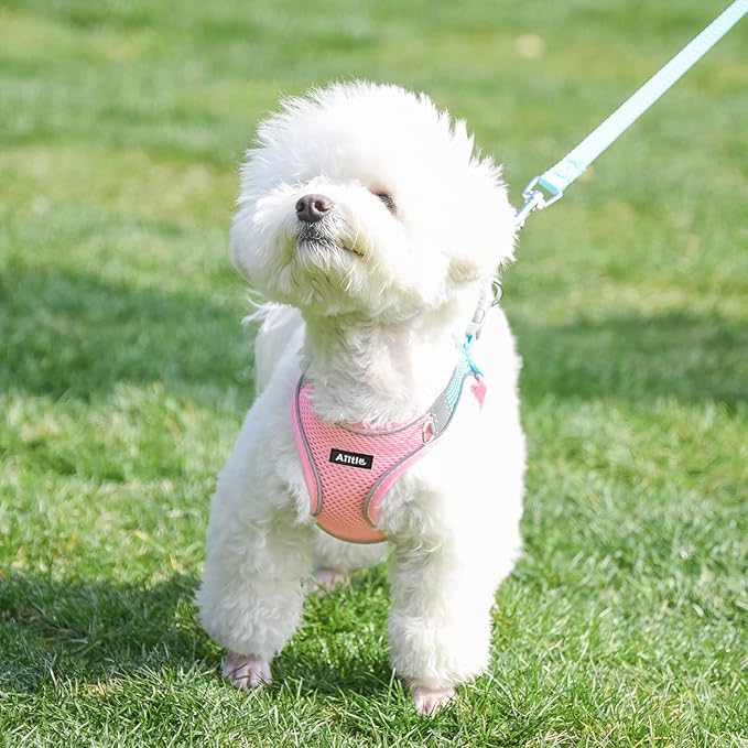 AIITLE Comfortable Dog Harness and Leash Set - Image 9