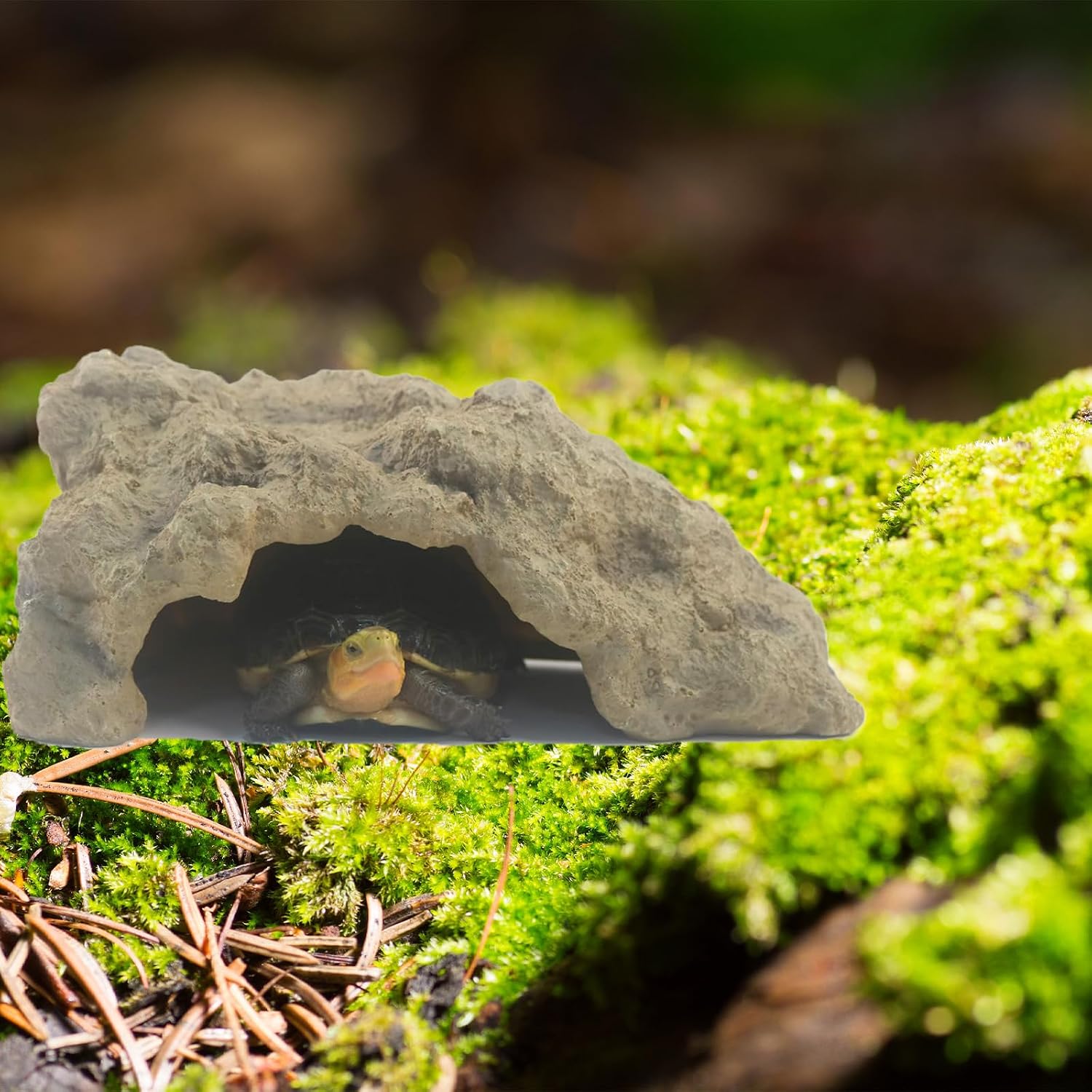 Small Resin Reptile Hide for Leopard Gecko - GlobalHabitat Supply