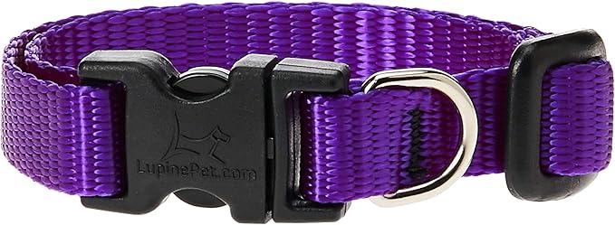 LupinePet Basics 1/2" Purple 8-12" Adjustable Collar by LupinePet